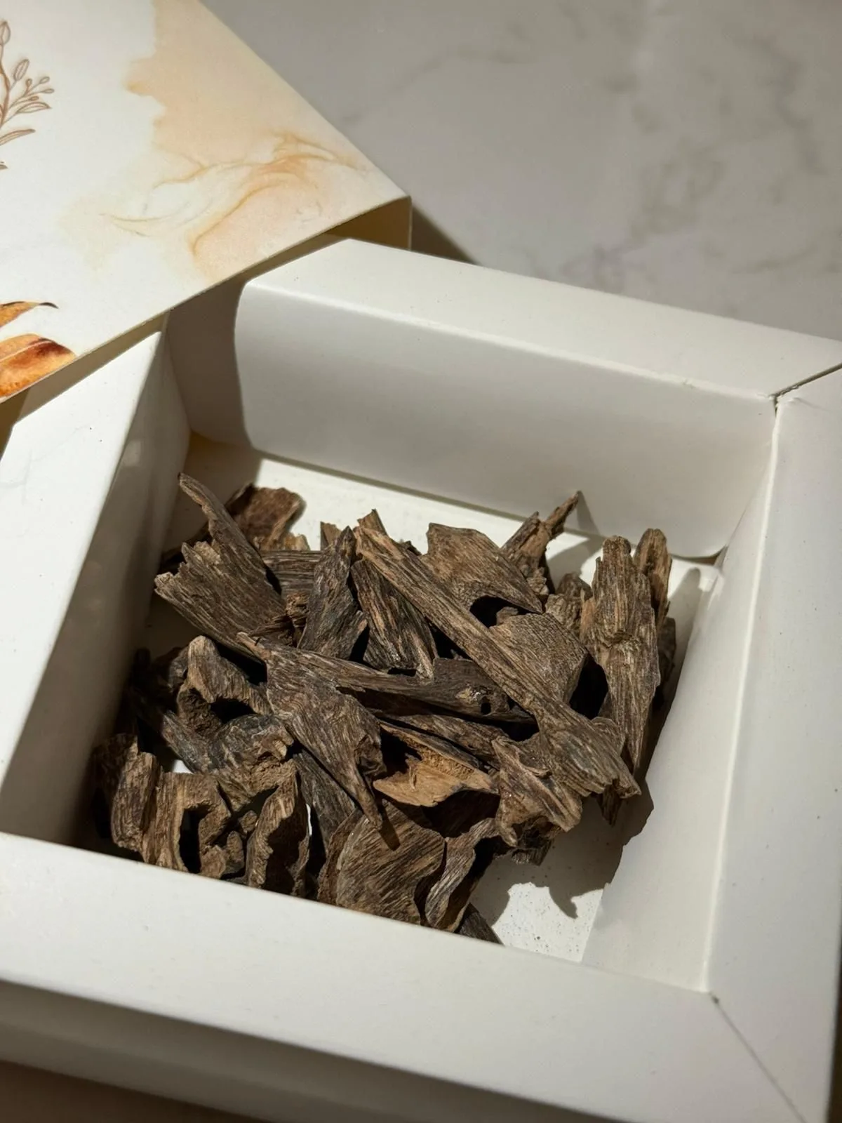 ⁦سوبر موري⁩ - الصورة ⁦1⁩